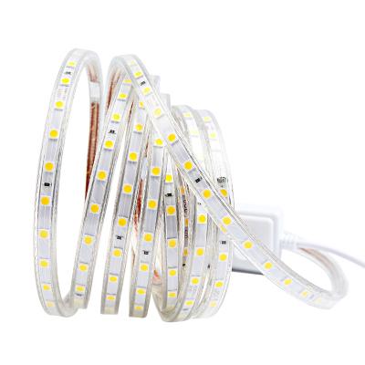 China Household KTV Warehouse Langdscape Theme Park Factory Direct Selling Flexible Silicone High Voltage AC 110V 220V Led Strip Light 60LEDS /M SMD5050 Led Strip Lights for sale