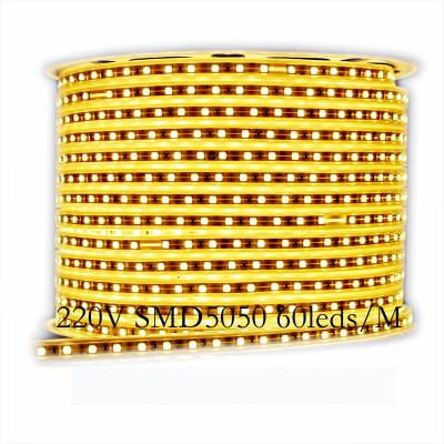 China Household KTV Warehouse Langdscape Theme Park Flexible AC 110V 220V High Voltage Silicone Led Ribbon 60LEDS /M SMD5050 Led Strip Light Strip for sale