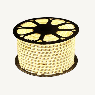 China 120leds/m Outdoor Light Strip Led Waterproof Household KTV Warehouse Langdscape Theme Park 220V Cct SMD 5630 Dual Colors Strip Cct Led Strip Light for sale