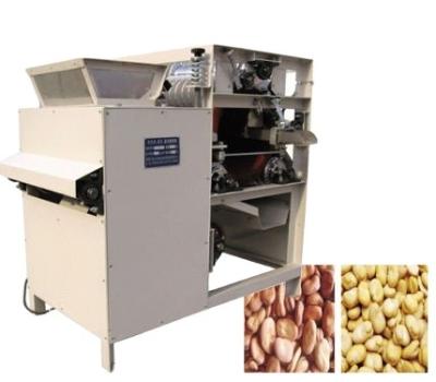 China Dairy Factory Bean Horse Bean Wet Peeling Machine for sale