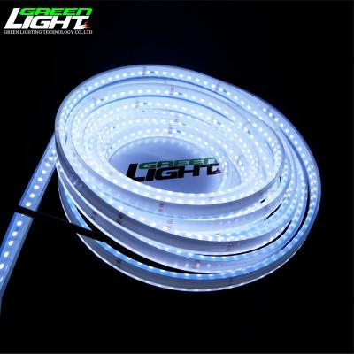 China Hoogtemperatuurbestendig Waterdicht IP68 Flexibel LED-strooklicht Silicone Gietwerk Mijnbouw LED-strooklicht Buiten Te koop