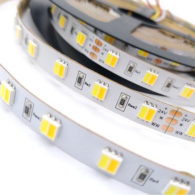 China LANDSCAPE Adjustable Color Flexible Led Changing Strip Light White 2 in 1 DC 24V CCT 3000K 6000K LED Strip Light for sale