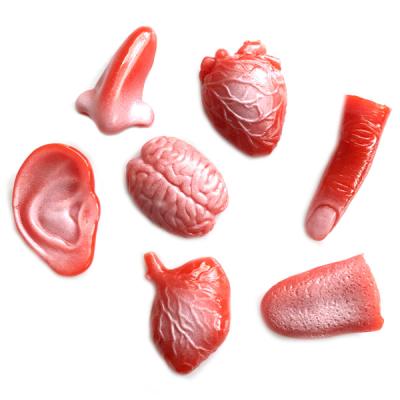 China Real Touch Jokes Halloween Horror/Horror TPR Prank Funny Human Organ Model Toy for sale