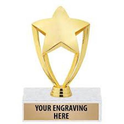 China China Gold Plated Star Shape Metal Trophy For Champion Honor Awards for sale