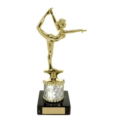 China China Custom Metal Gold Sport Trophy Cup Gym Trophy for sale