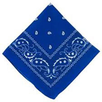 China 100% Skin Friendly Polyester Microfiber Bandana Novelty Print Head Wrap Scarf Wristband For Adults And Kids for sale