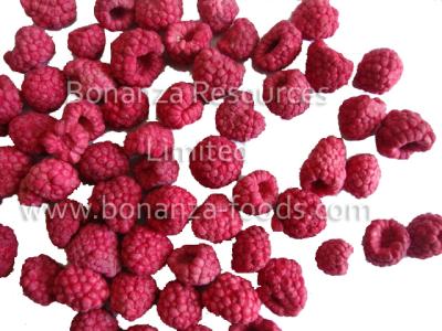 China Sell Green Food No Additives Freeze Dried Raspberries Sugar Free fruit snacks for sale