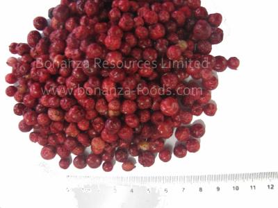 China Golden Supplier of Freeze Dried Lingonberries Heathy Berries BRC certified factory supply for sale