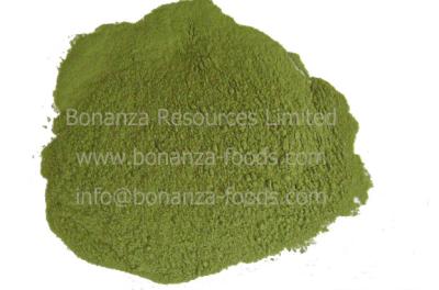 China Air Dried Celery Flour Dehydrated Celery Stalk Powder for sale