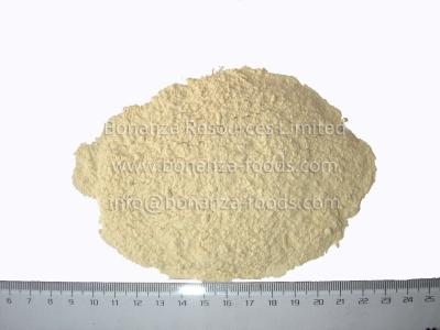 China Bulk Supply China Dehydrated Garlic Powder Dried Garlic Flour for sale