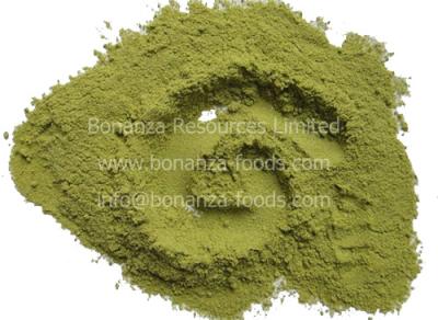 China Factory supply Freeze Dried Green Bell Pepper Powder for sale