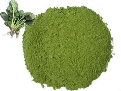 China Sell Freeze Dried Spinach Powder Natural Additives for sale