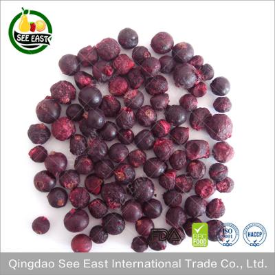 China Halal food chinese freeze dried black currant from ISO certified company for sale