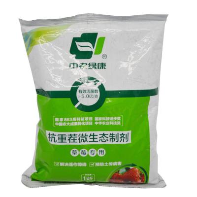 China Productie van fruit en aanplant voorbereiding / Micro-ecologische aardbeien tegen herbeplanting Te koop