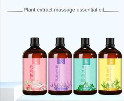 China Firming Wormwood 500ML Ginger Body Oil Massage Scraping Serum Oil Push Back Serum Oil for sale