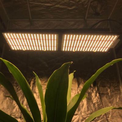 China Seed Starting Topbrite 240w 288 Samsung lm301h Full Spectrum Led Grow Light with Meanwell Driver for sale