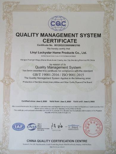 ISO9001 - Linyi Luckystar Home Products Co., Ltd.