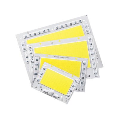 China LED Strip 50W 100W 150W 200W Indoor Plant COB LED Grow Light LED Chip LED COB Grow Light for sale