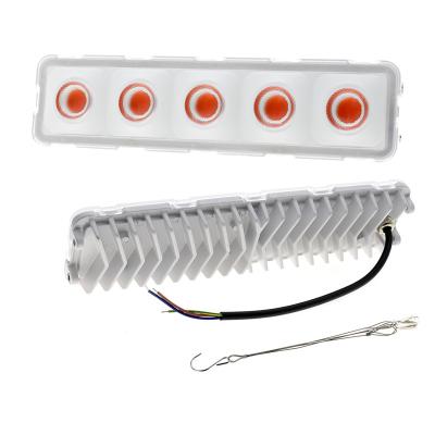 China Seed Starting Full Spectrum Adjustable Efficiency Led Lighting Grow Light 50W COB Grow Light for sale