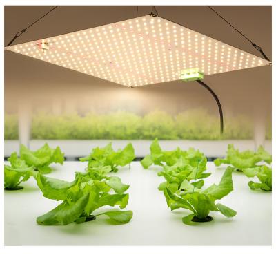 China Seed Starting Dimmable Led Grow Lights Grow Board For Indoor Factory Led Panel Updated Newest LED Grow Light for sale