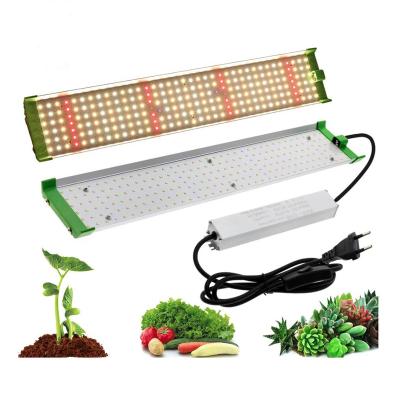 China Seed Starting Dimmable 85W LED Grow Light Indoor LED Panel Light For Grow Tent Cob Led To Grow Light for sale