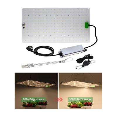 China Start From Seed Full Spectrum Led Grow Light Led Grow Light Samsung Lm281b Boards IR UV Hydroponics Grow Light for sale