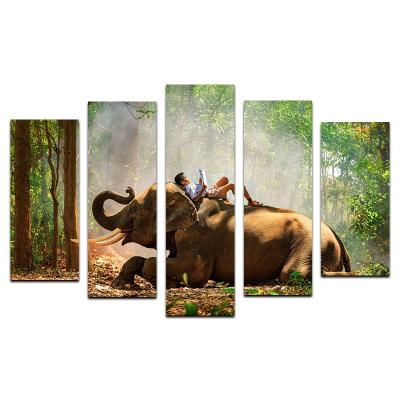 China Modern Elephant Picture Split 5 Piece Wall Art Printed Canvas Painting for sale