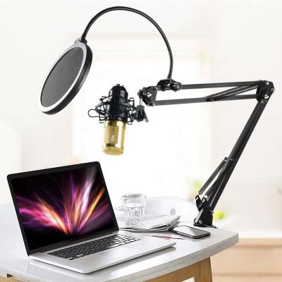 China Top Selling Professional Tablet Mic Gooseneck Microphone OEM Studio Sound Recording BM-800 Usb Condenser Microphone Kit for sale