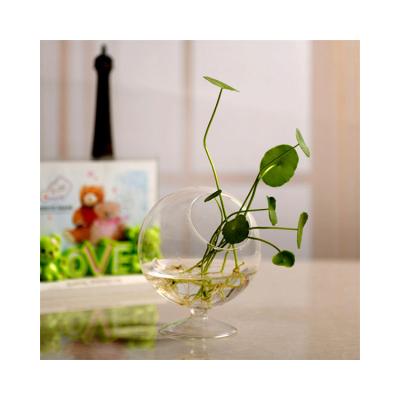 China viable discount price solid clear small size aquarium for home decor for sale