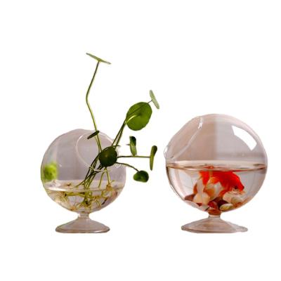 China Amazon Viable Best-Selling Medium Glass Living Room Aquarium Small Eco-Friendly Glass Tanks for sale