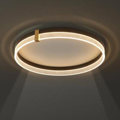 China Modern Simple Light Luxury Creative Living Room Bedroom Lamp Household Nordic Minimalist Lighting Led Ceiling Lamp for sale