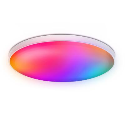 China Modern Remote Control Smart Home Lights Smart Lamp for Home Decor Alexa Ceiling Lights WiFi Smart LED Ceiling Lights Music for sale