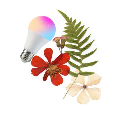 China Residential A19 LED RGB Light Bulb ZigBee Bulb Smart Downlight Bulb for sale