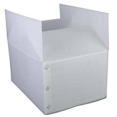 China Advertising PP Core Box Manufacturers , PP Corrugated Plastic Box / Corrugated Box / Correx Box for sale