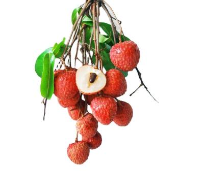 China HOT Selling Fresh Jingang HongNuo Sweet Lychee Eating Lychee Standing Salad etc. Juicing Bar for sale