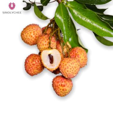 China HOT Selling Fresh Gui Wei Lychee Fruit Big Price Premium Juicy Lychee Fresh Fruit for sale