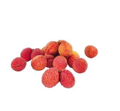 China Delicious lychee standing fresh direct seedless lychee salad orchard fruit bar for sale