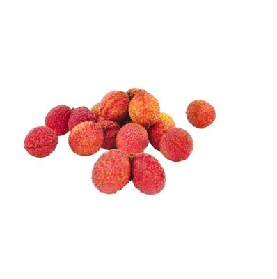 China Delicious lychee standing fresh HOT seeded lychee salad sale fresh fruit bar for sale