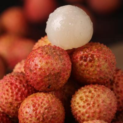 China fresh & Wholesale sweet and juicy lychee fruits china export fresh delicious lychee for sale