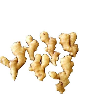 China Young Ginger All Year Supply High Quality Fresh Yellow Air Dried Ginger for sale