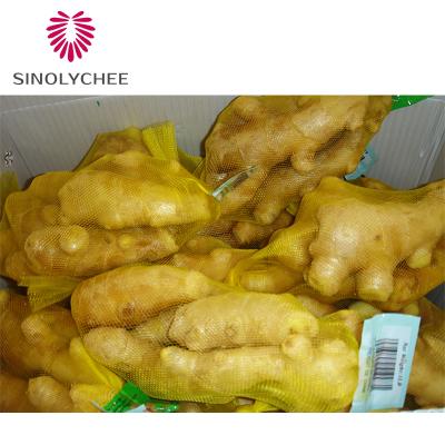 China China Natural Fresh Ginger Wholesale Supply Fresh in 40ft Reefer Container for sale