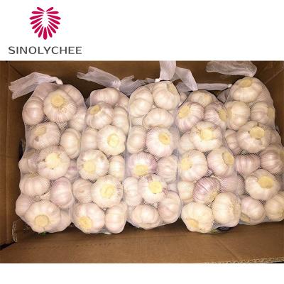 China 2022 fresh new culture garlic wholesale price fresh red frozen garlic for sale