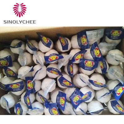 China 2022 China Direct Supplier Wholesale Fresh Garlic Fresh White Garlic for sale