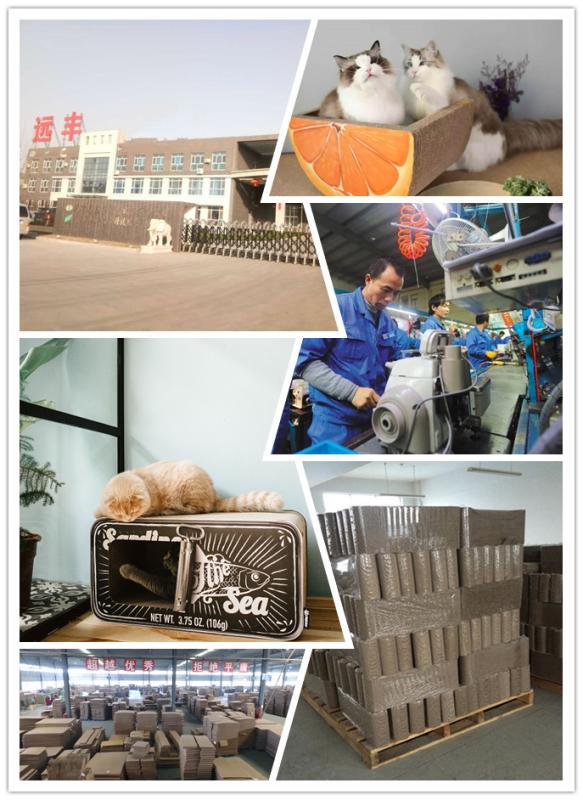 Verified China supplier - Hebei Yuanfeng Import And Export Trading Co., Ltd.