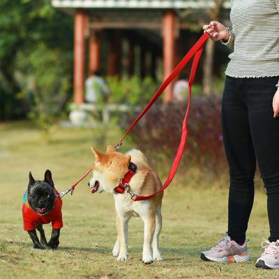 China Double-End Padded Pets Rope Running Dogs Training Advance Collars Padded Nylon Chain Leash for sale