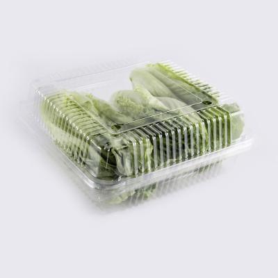 China Recyclable Disposable Plastic Vegetable Salad Fruit Blister Trays Supermarket Fruit Containers Clamshell Packaging Clear Crankcase With Lid for sale