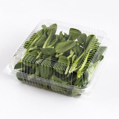 China Recyclable Disposable Clear Plastic Fruit Vegetable Packaging Cherry Tomato Mushroom Packaging Box Clamshell Vegetable Container for sale