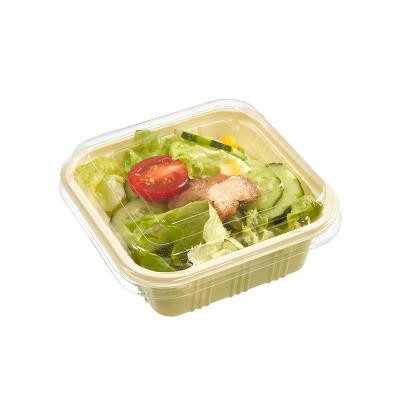 China Wholesale disposable plastic salad box food container with cheap price for sale