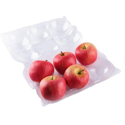 China 6 Pack Disposable Disposable Blister Apple Clear Plastic Container for sale