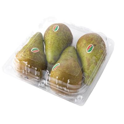 China Disposable Transparent PET Fruit Plastic Packing Box Disposable With Lid for sale